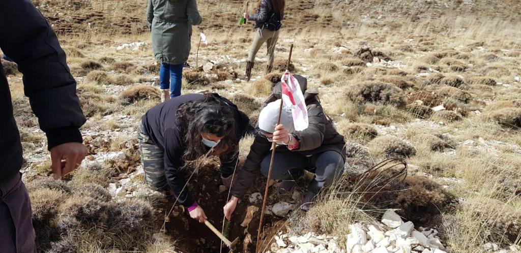 تقديرًا لجهودها في خدمة مجتمعها: تكريمُ عربيّ لوحدة التدخل لمعالجة الأزمات في الجامعة اللبنانية (LUTF) وزرعُ أرزة باسمها في كفرذبيان