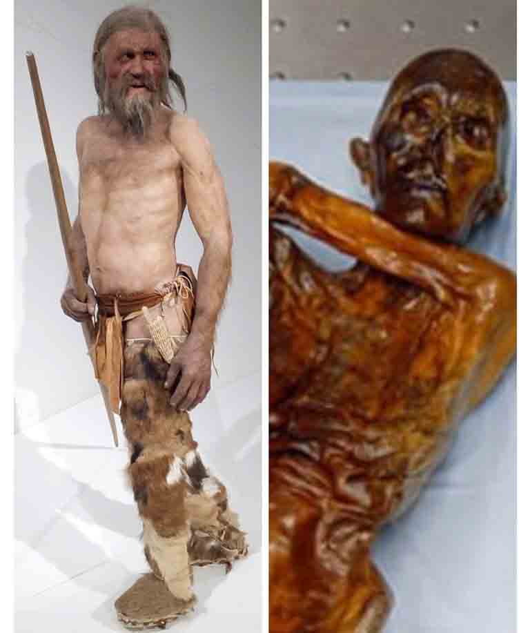 هرسل للوطنية: الغموض ما زال يلف شخصية رجل الجليد