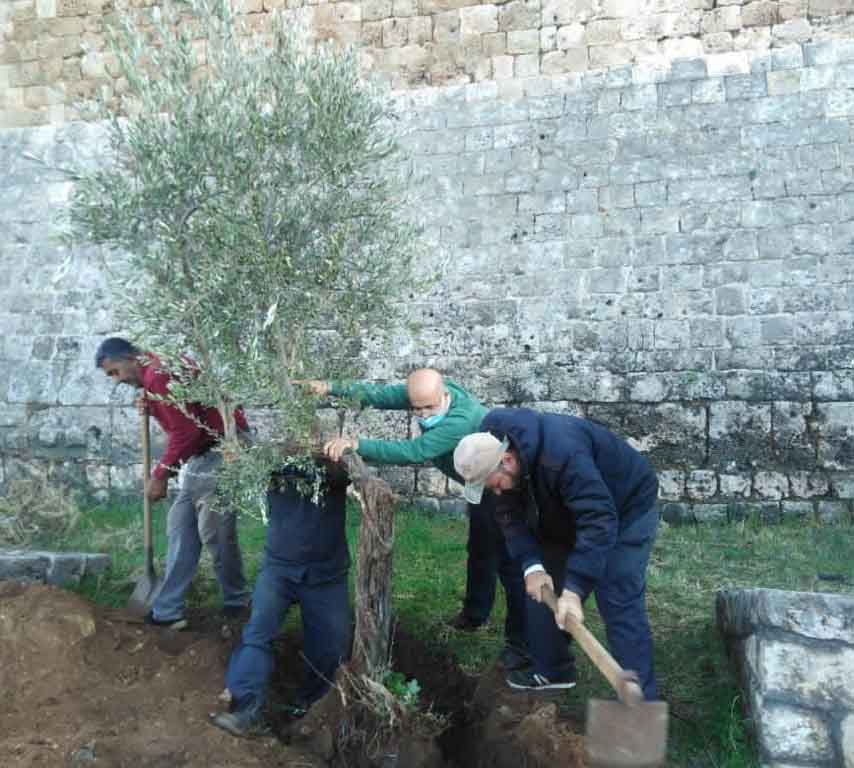 بلدية طرابلس واصلت حملة التشجير
