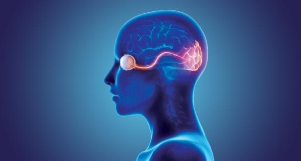 غرسات دماغية قادرة على إعادة البصر تحيي آمال المكفوفين