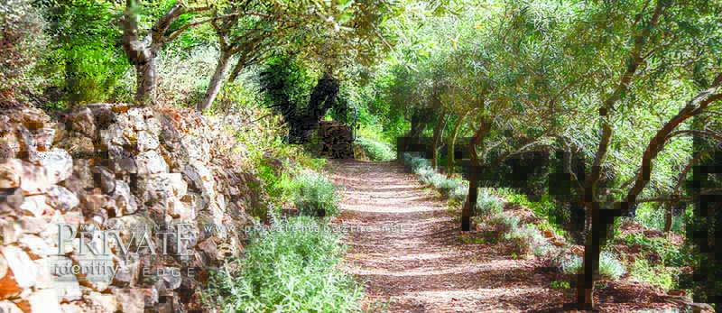 متحف الحرير - بسوس