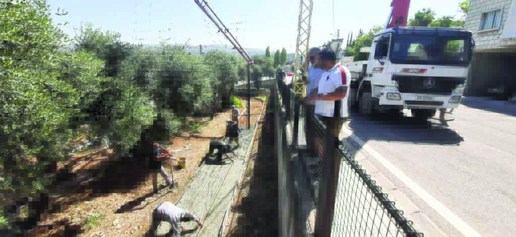 حديقة ولا أروع تحت اسم «درب الزيتون» في مزرعة يشوع.. 