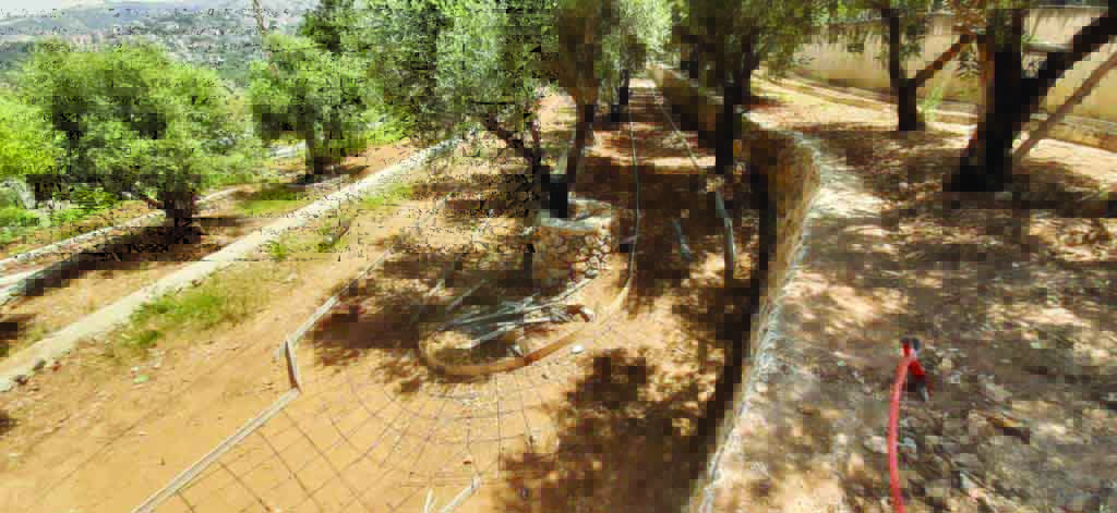 حديقة ولا أروع تحت اسم «درب الزيتون» في مزرعة يشوع.. 