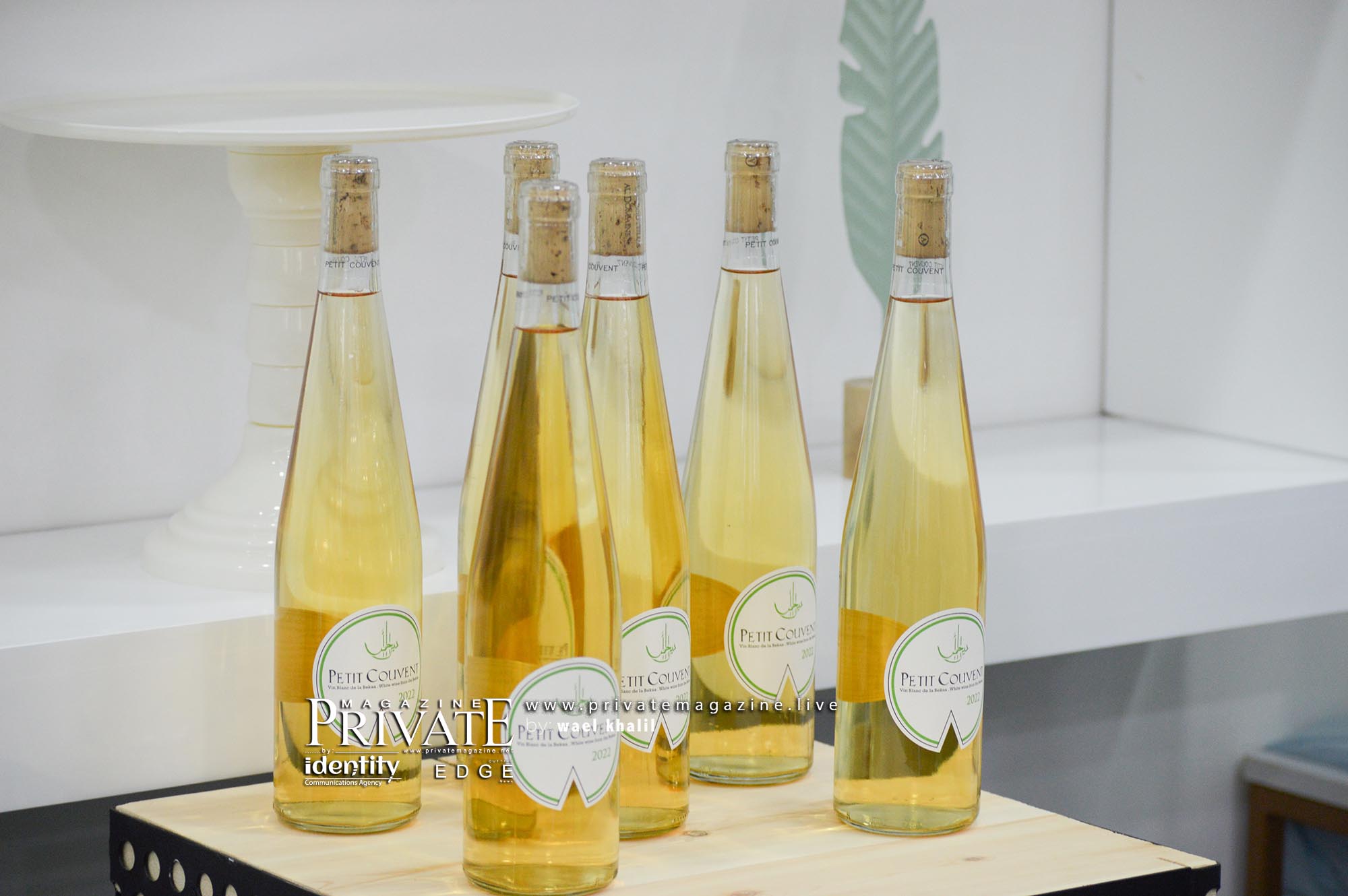 افتتاح شركة Darling Event Planner في "العقيبة - كسروان" 