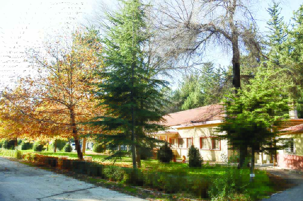 خاص برايفت ماغازين: د. ميشال أفرام: المناضل في سبيل الحرية... هو فخر للبنان ومدينته زحلة