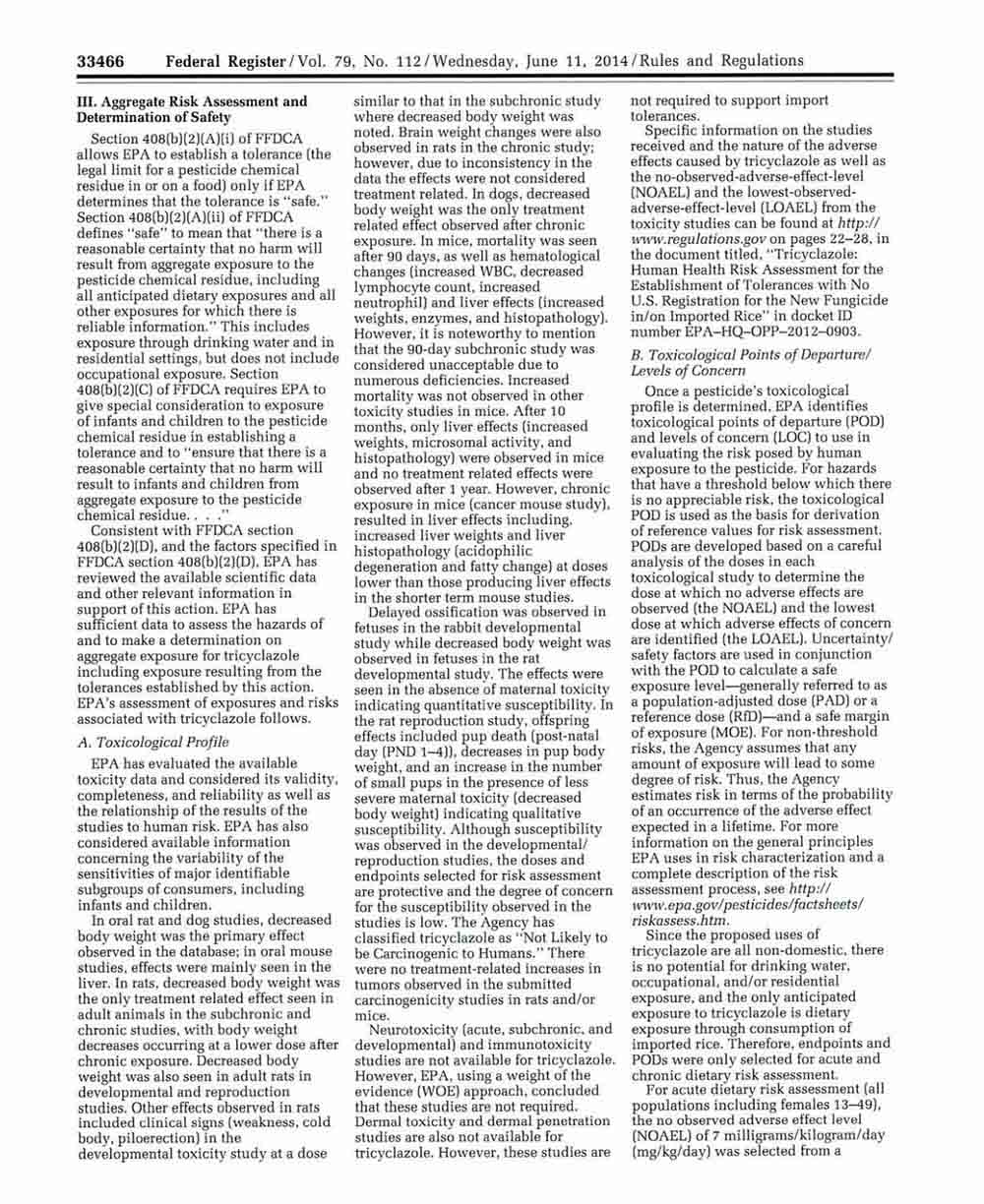 أجرى رئيس نقابة مستوردي المواد الغذائية هاني بحصلي قراءة شاملة مفندة بالوثائق والدراسات العلمية، مؤكداً بالدلائل ان لا أرز مسرطن في لبنان.