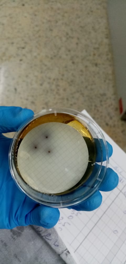 مختبر المياه في محطة كفردان يبدأ فحوصاته