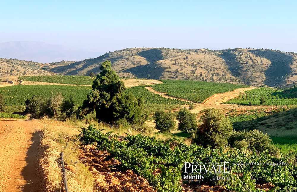 رئيس بلدية عيناتا ميشال رحمة :  اللامركزية تفرض نفسها.. 