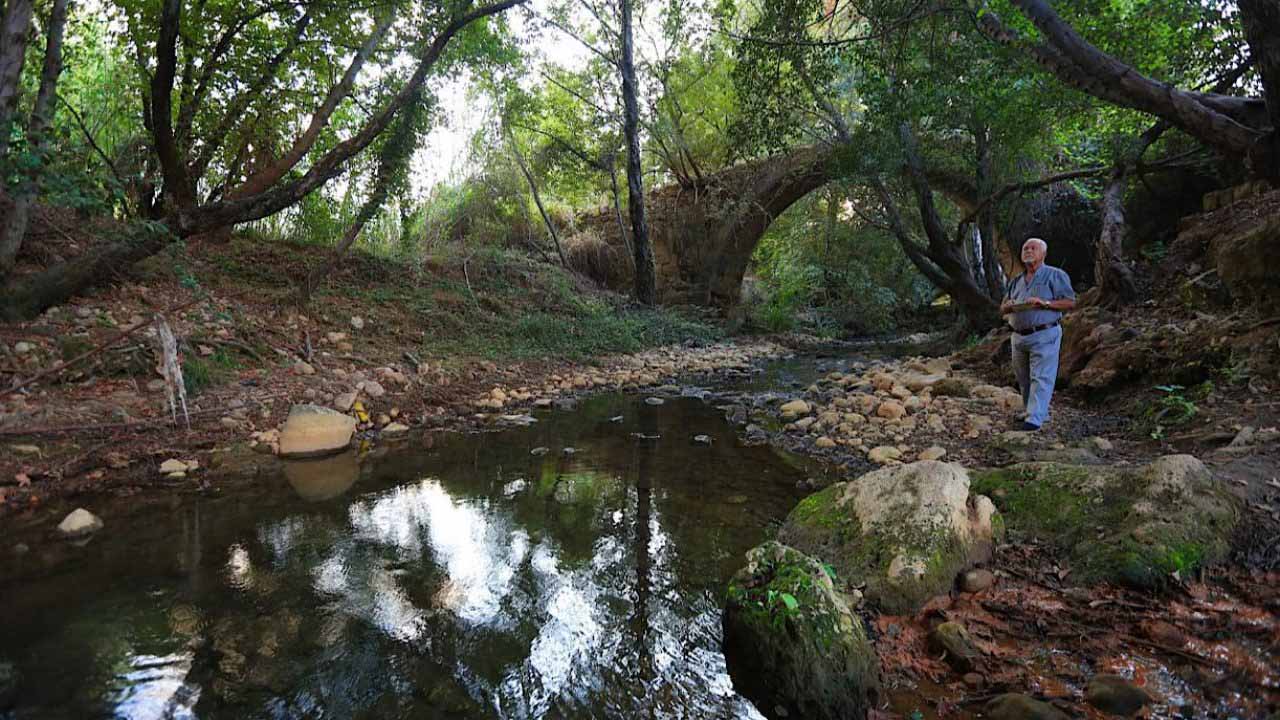 الشوف يدق ناقوس الخطر... 