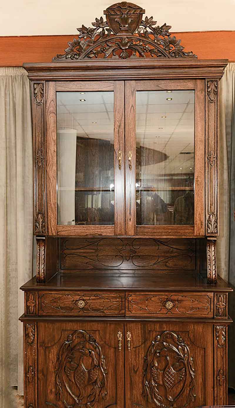 شجرة «الباولونيا» المدهشة