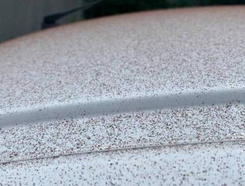 حدث في سويسرا بالفعل.. السماء تمطر شوكولاتة!