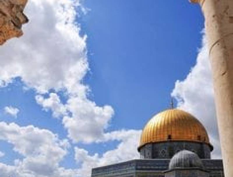 اللقيطة إسرائيل شر ما بعده شر