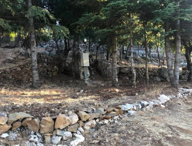  زنابق حقل الشاعر جورج يمين