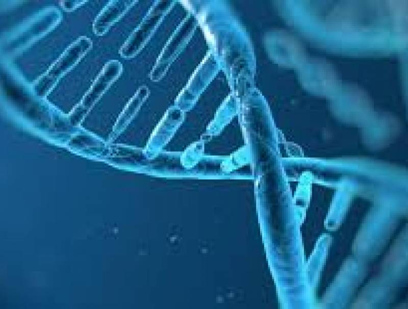 دراسة: نظام قائم على الحمض النووي محل الرموز الشريطية لتتبع المنتجات