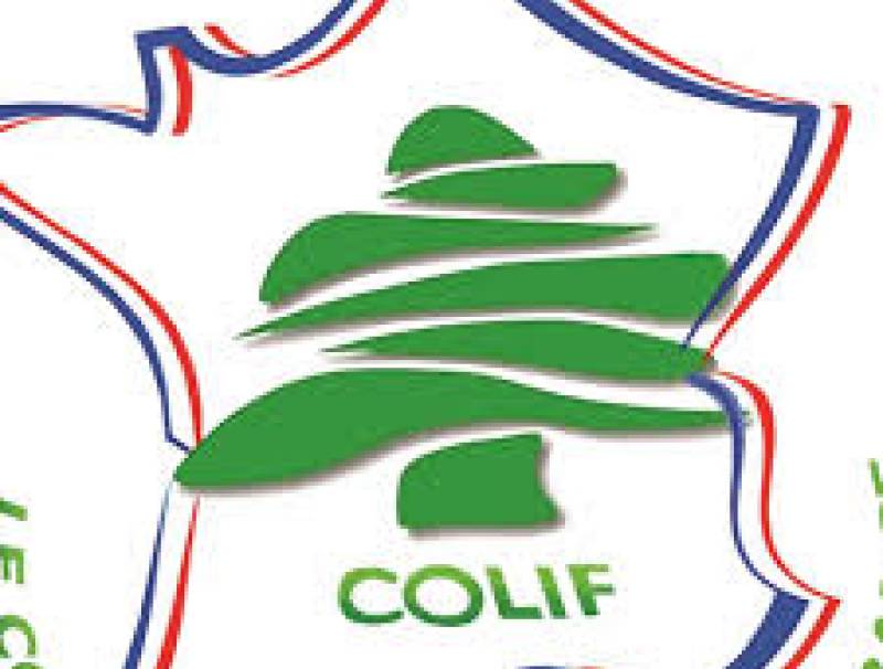 مجلس لبنانيي فرنسا هنأ بالاستقلال ودعا القادة اللبنانيين الى توحيد صفوفهم وتشكيل حكومة