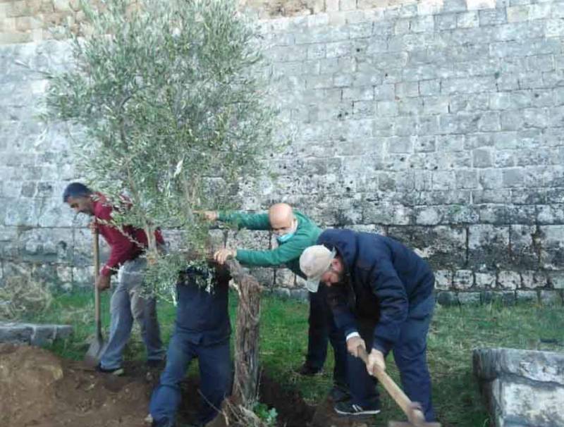 بلدية طرابلس واصلت حملة التشجير