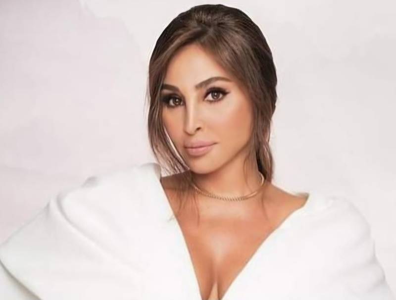 القضاء الإماراتي ينتصر للفنانة إليسا: فسخ اتفاقية التوزيع مع شركة وتري وإنهاء سيطرتها على قناتها في "يوتيوب"... متى يحذو القضاء اللبناني حذوه؟