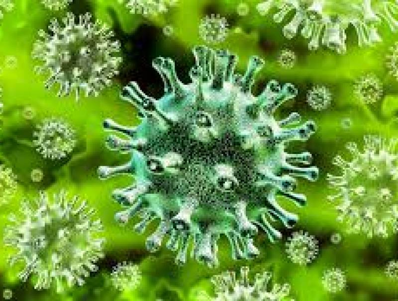 الايام القادمة كورونا سوف تجتاح كل البيوت وسوف يخير بين الاب والابن للحجز مكان في المستشفى ولن يجدوا..