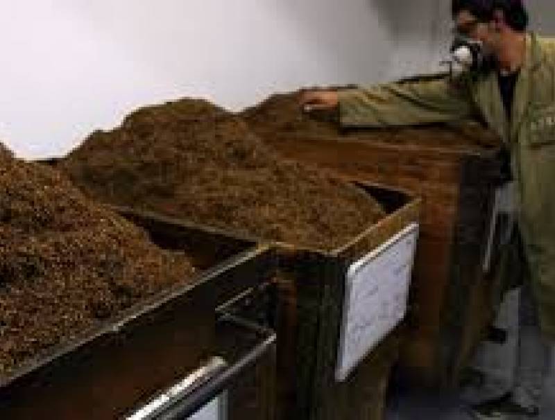 إدارة حصر التبغ في طرابلس تبدأ غدا بشراء محصول المزارعين